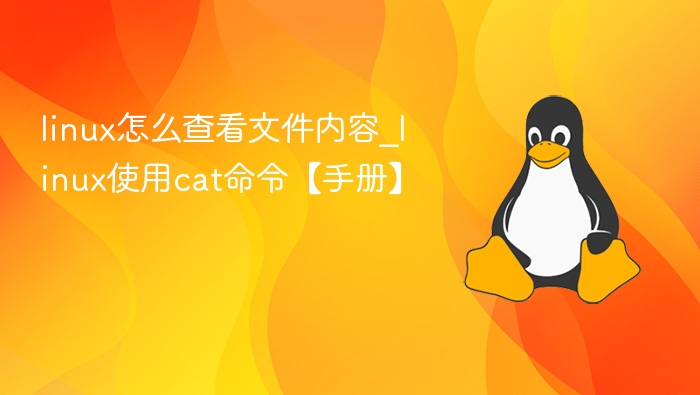 linux怎么查看文件内容_linux使用cat命令【手册】