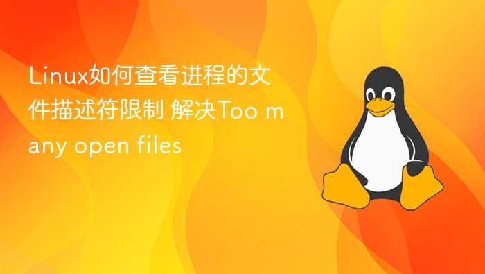 Linux如何查看进程的文件描述符限制 解决Too many open files
