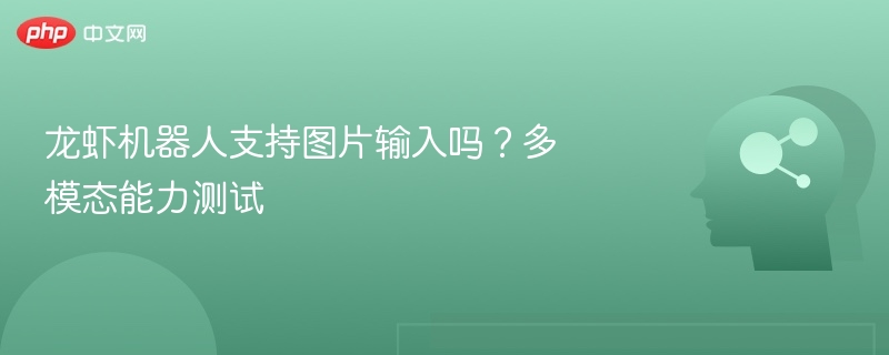 龙虾机器人支持图片输入吗？多模态能力测试