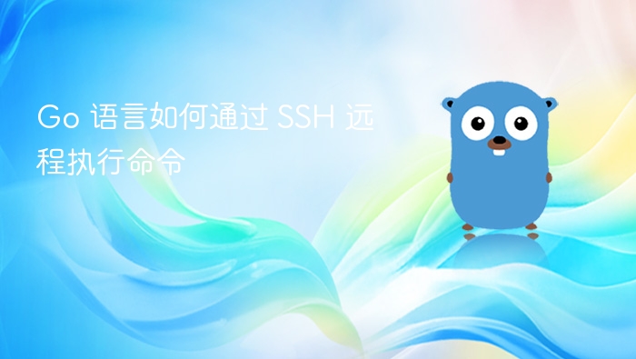 Go 语言如何通过 SSH 远程执行命令