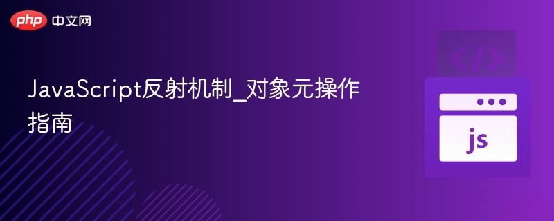 JavaScript反射机制_对象元操作指南