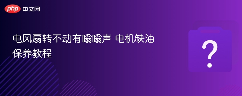 电风扇转不动有嗡嗡声 电机缺油保养教程