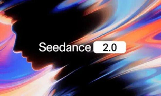 Seedance2.0独立站素材制作：Facebook广告投放视频批量生产法