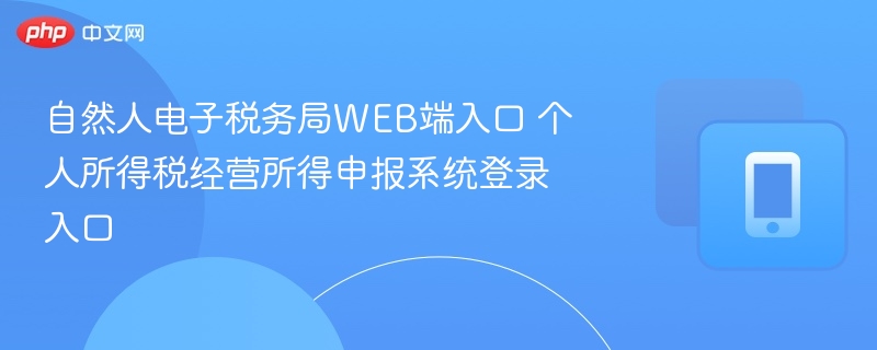 自然人电子税务局WEB端入口 个人所得税经营所得申报系统登录入口