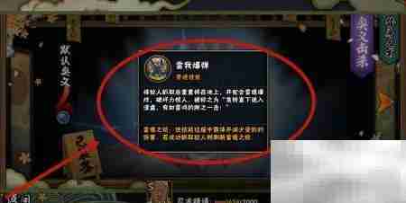 雷影艾玩法攻略