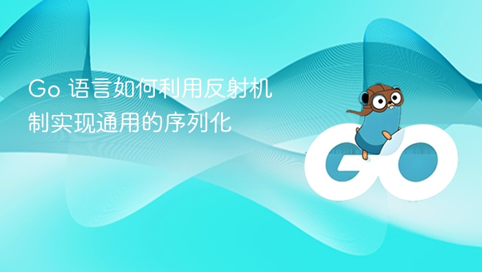 Go 语言如何利用反射机制实现通用的序列化