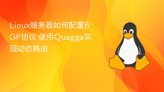 Linux服务器如何配置BGP协议 使用Quagga实现动态路由