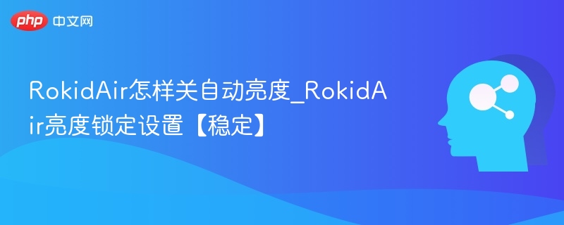 RokidAir怎样关自动亮度_RokidAir亮度锁定设置【稳定】