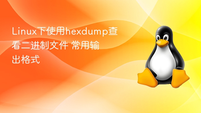 Linux下使用hexdump查看二进制文件 常用输出格式