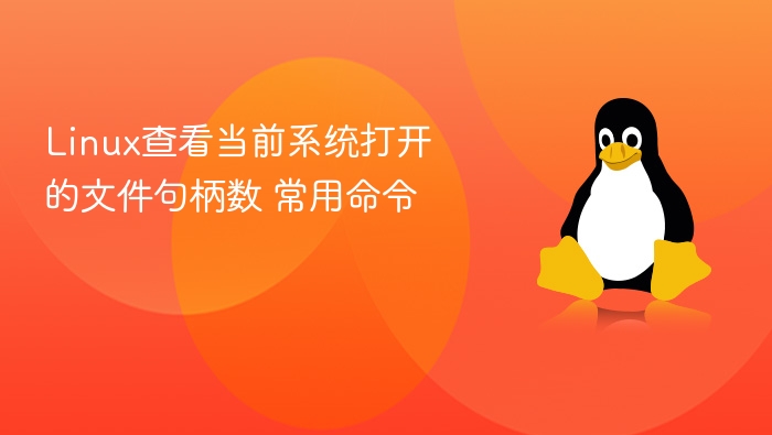 Linux查看当前系统打开的文件句柄数 常用命令