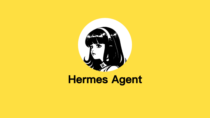HermesAgent数据密度聚类：Anomaly集成实战