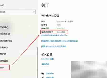 Windows Terminal 安装指南