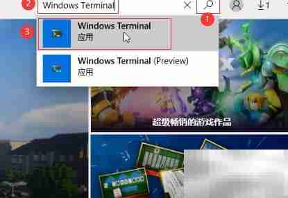 Windows Terminal 安装指南