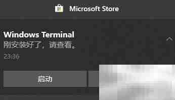 Windows Terminal 安装指南