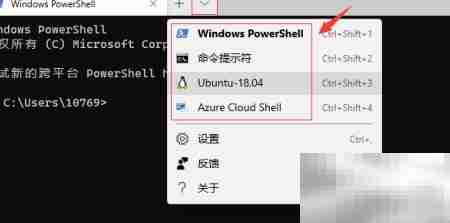 Windows Terminal 安装指南