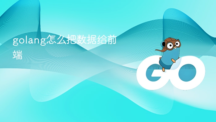 golang怎么把数据给前端