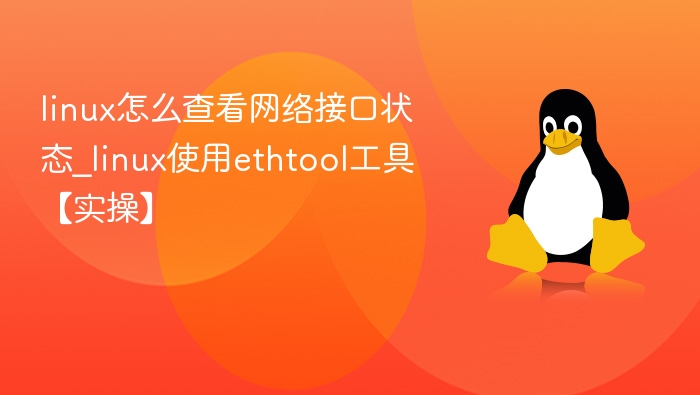 linux怎么查看网络接口状态_linux使用ethtool工具【实操】