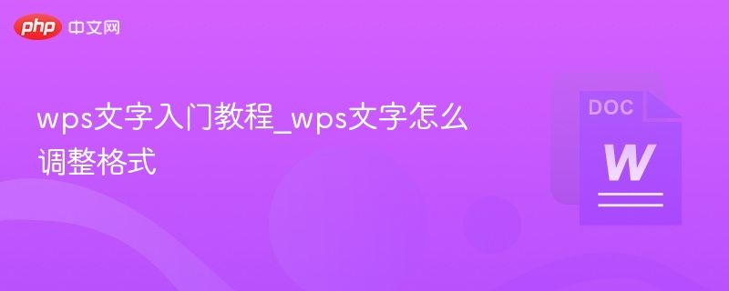 wps文字入门教程_wps文字怎么调整格式