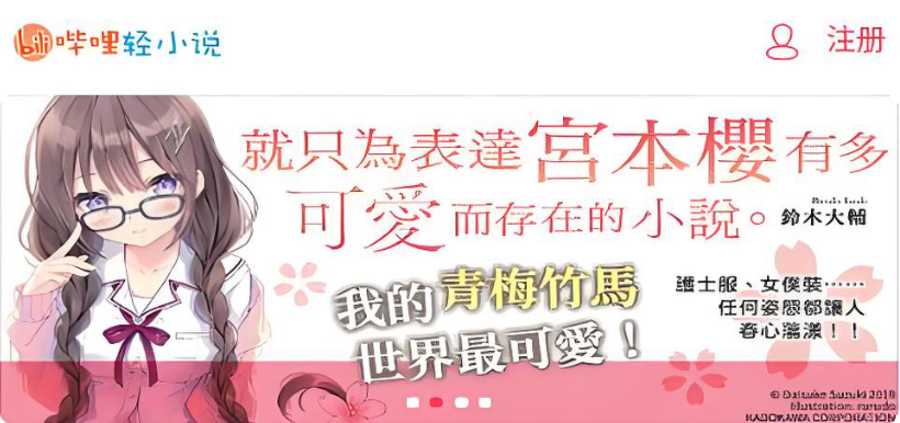 哔哩轻小说TXT下载入口_离线全本资源包