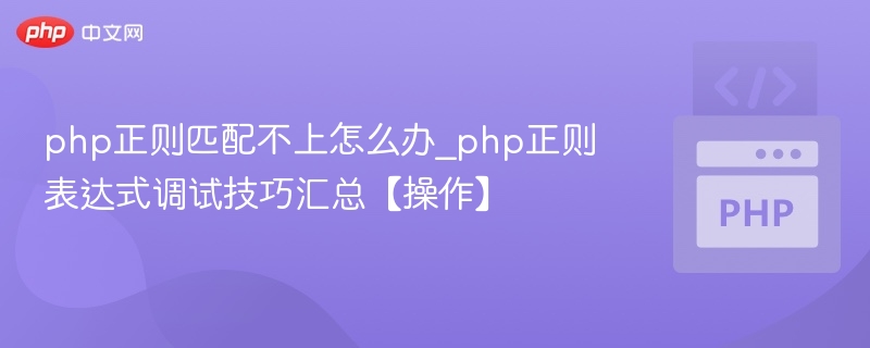 php正则匹配不上怎么办_php正则表达式调试技巧汇总【操作】