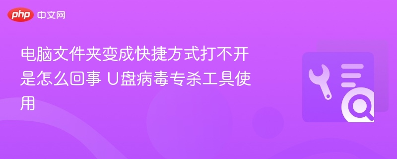 电脑文件夹变成快捷方式打不开是怎么回事 U盘病毒专杀工具使用