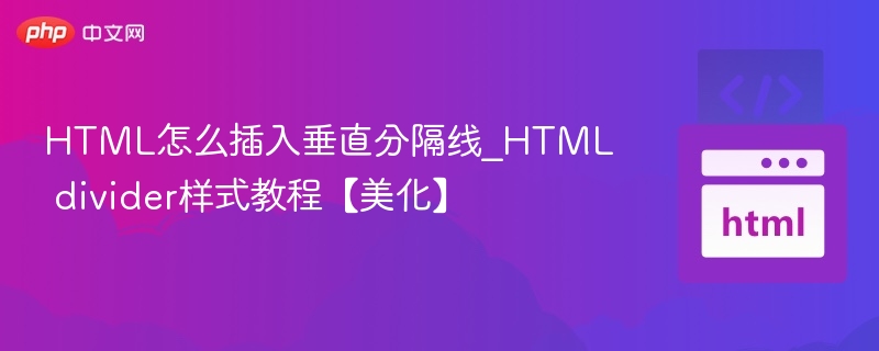 HTML怎么插入垂直分隔线_HTML divider样式教程【美化】