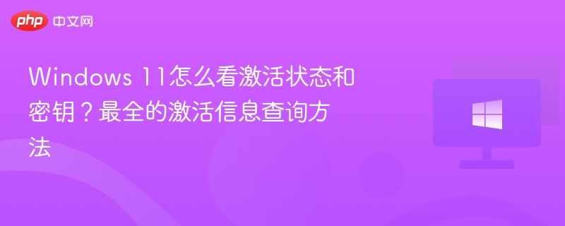 Windows 11怎么看激活状态和密钥?最全的激活信息查询方法