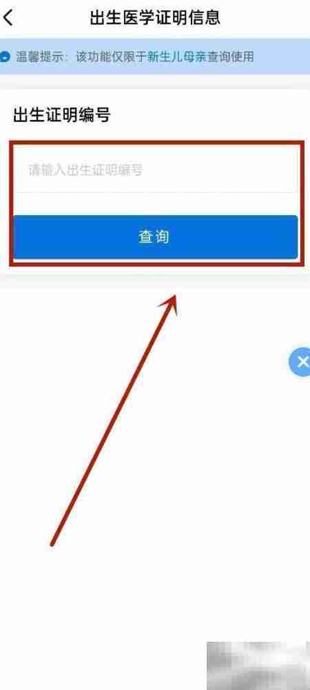 辽事通查出生证明操作指南