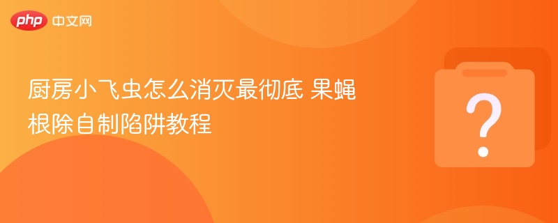 厨房小飞虫怎么消灭最彻底 果蝇根除自制陷阱教程