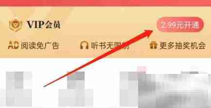 阅友小说VIP开通指南
