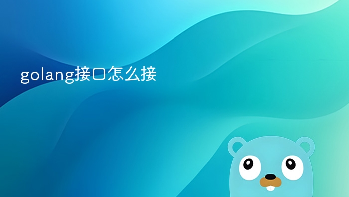 golang接口怎么接