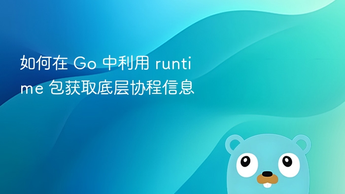 如何在 Go 中利用 runtime 包获取底层协程信息