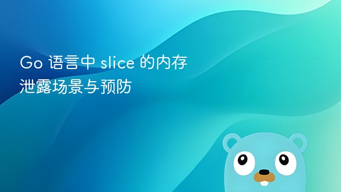 Go 语言中 slice 的内存泄露场景与预防