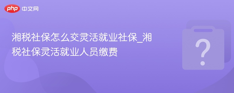 湘税社保怎么交灵活就业社保_湘税社保灵活就业人员缴费