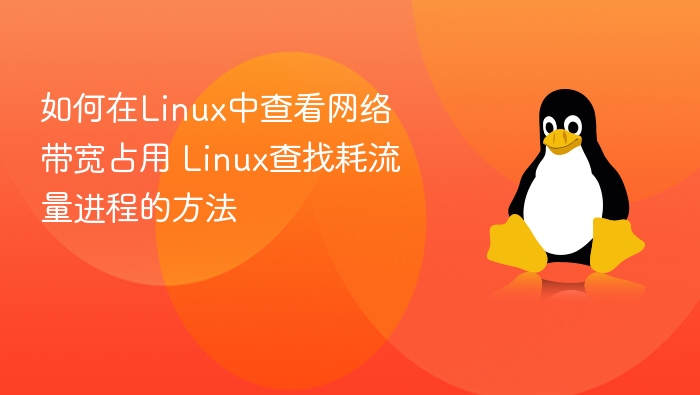 如何在Linux中查看网络带宽占用 Linux查找耗流量进程的方法