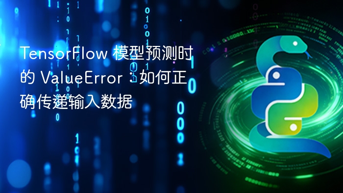 TensorFlow 模型预测时的 ValueError:如何正确传递输入数据