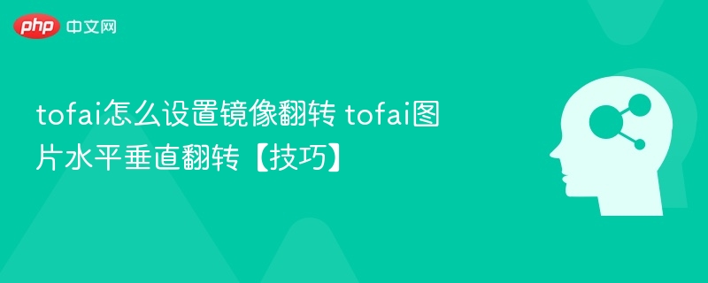 tofai怎么设置镜像翻转 tofai图片水平垂直翻转【技巧】