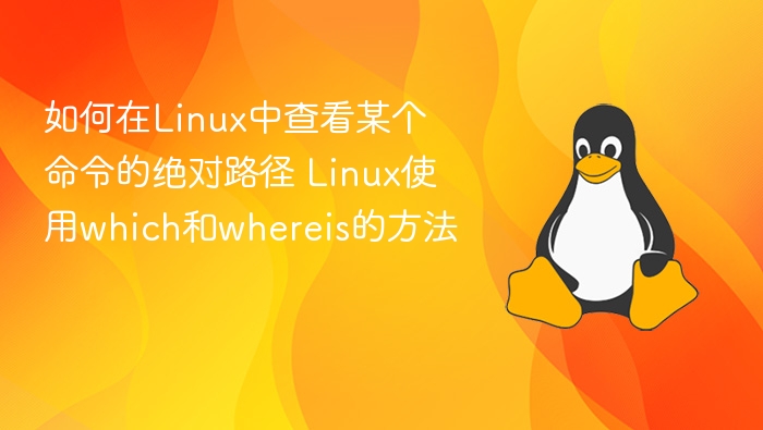 如何在Linux中查看某个命令的绝对路径 Linux使用which和whereis的方法