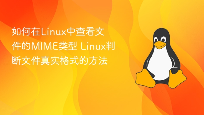 如何在Linux中查看文件的MIME类型 Linux判断文件真实格式的方法