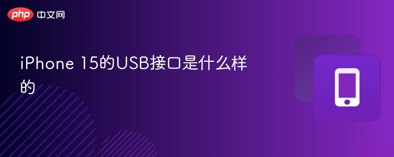 iPhone 15的USB接口是什么样的