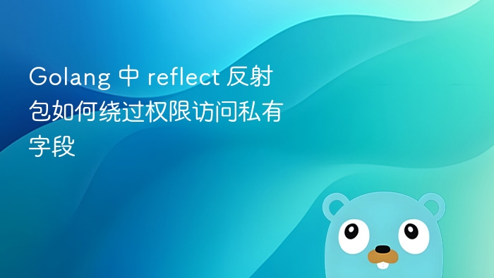 Golang 中 reflect 反射包如何绕过权限访问私有字段