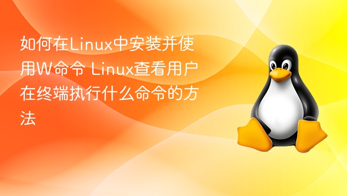 如何在Linux中安装并使用W命令 Linux查看用户在终端执行什么命令的方法