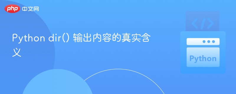 Python dir() 输出内容的真实含义