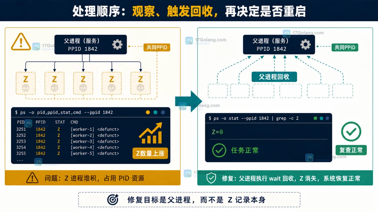 Linux 僵尸进程怎么查：ps 的 Z 状态、父进程回收与安全处理