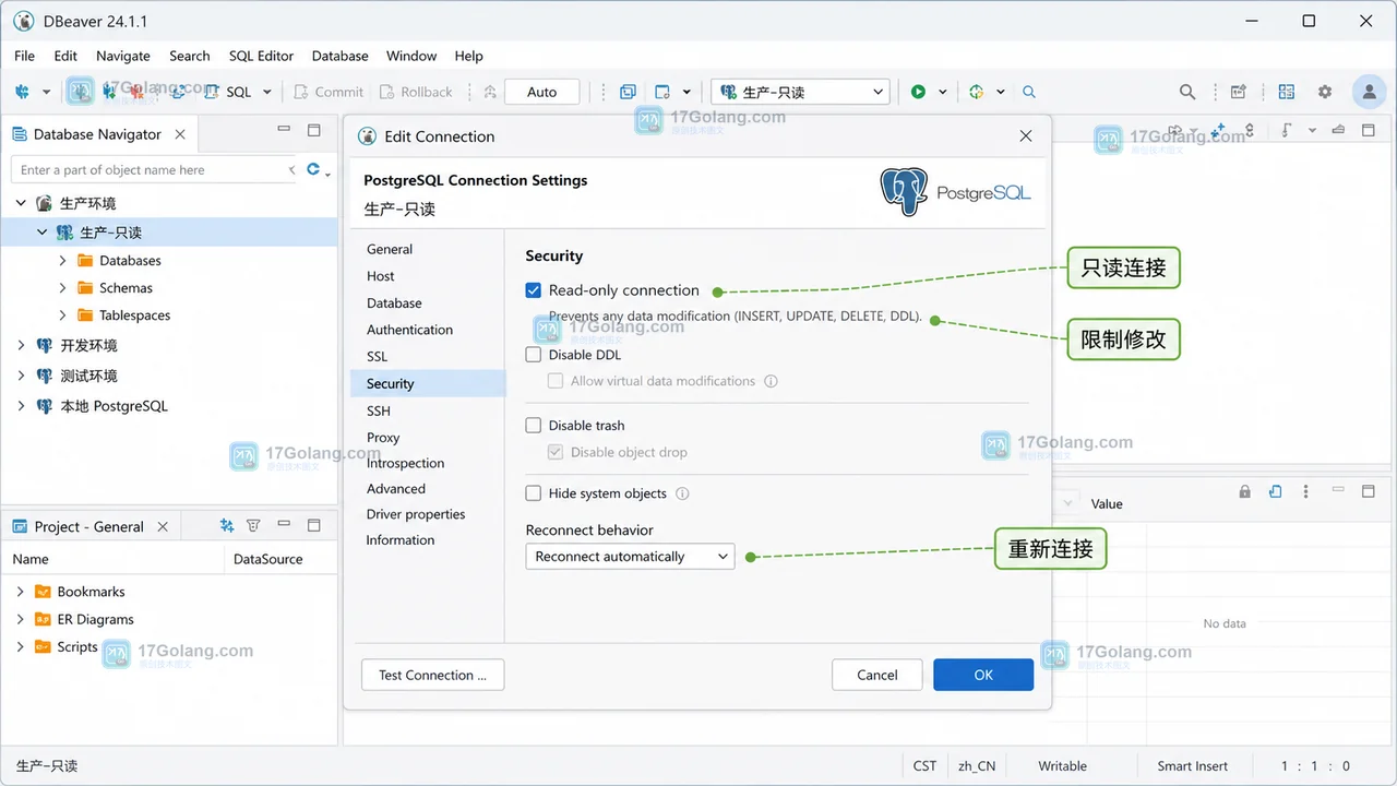 DBeaver 连接配置 Security 区域启用 Read-only connection 的真实界面风格