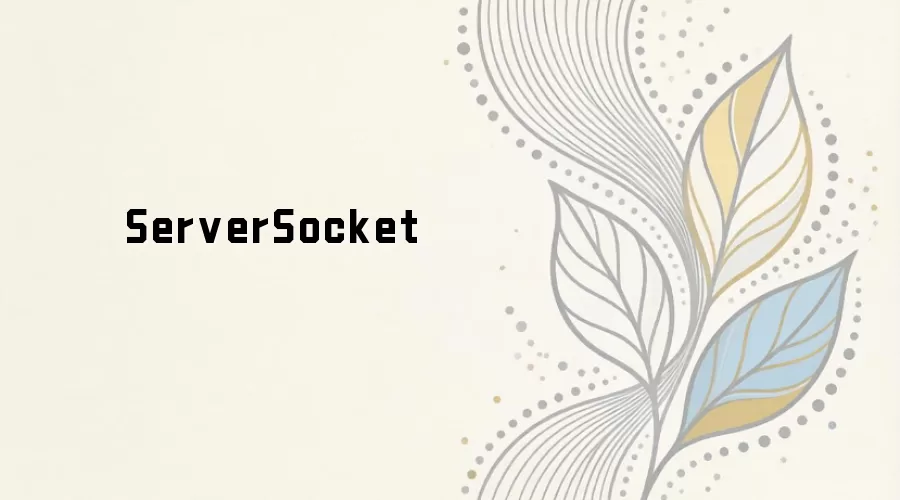 ServerSocket