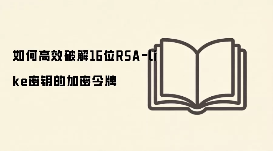 如何高效破解16位RSA-like密钥的加密令牌