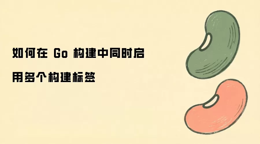 如何在 Go 构建中同时启用多个构建标签