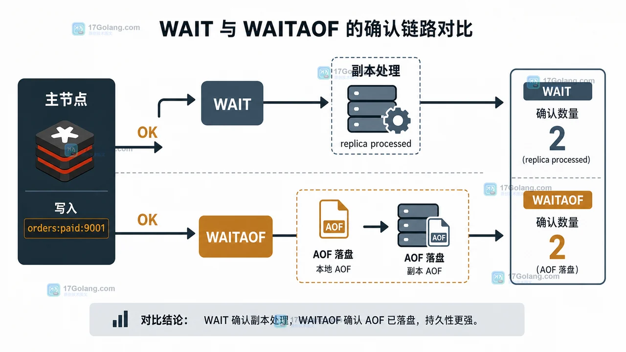 Redis WAIT 与 WAITAOF 对比主节点写入、副本处理和 AOF 落盘确认链路