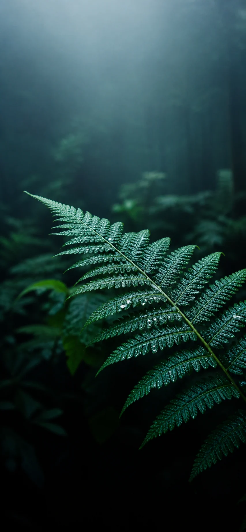 雨后青绿色蕨叶手机壁纸主图，顶部雾气留白与中下部叶片细节